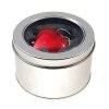 Xpert Systems 1GB Red Heart Shaped Pen Drive <br>QuickFind: 4539