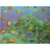 Xpert Systems  3D Wildlife Mouse Pad [ Fish ] <br>QuickFind: 5891