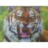 Xpert Systems  3D Wildlife Mouse Pad [ Tiger Face ] <br>QuickFind: 5892