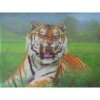 Xpert Systems  3D Wildlife Mouse Pad [ Tiger ] <br>QuickFind: 5893