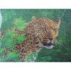 Xpert Systems  3D Wildlife Mouse Pad [ Cheetah ] <br>QuickFind: 5895