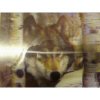 Xpert Systems  3D Wildlife Mouse Pad [ Wolf ] <br>QuickFind: 6220