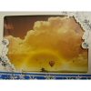 Xpert Systems 12 - 15 Inch Laptop Skin - Hot Air Balloons <br>QuickFind: 6446